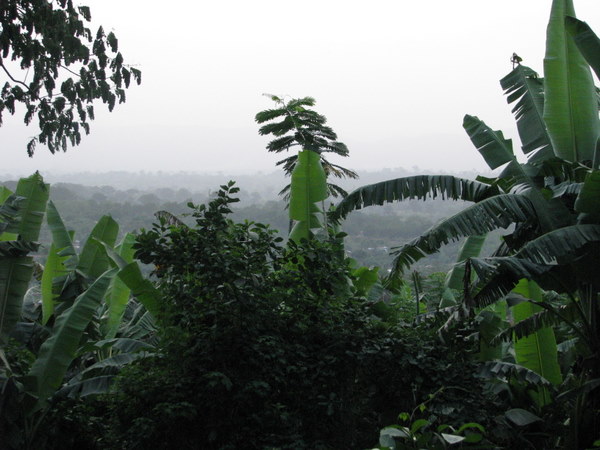 02 paysage au centre du Togo.JPG